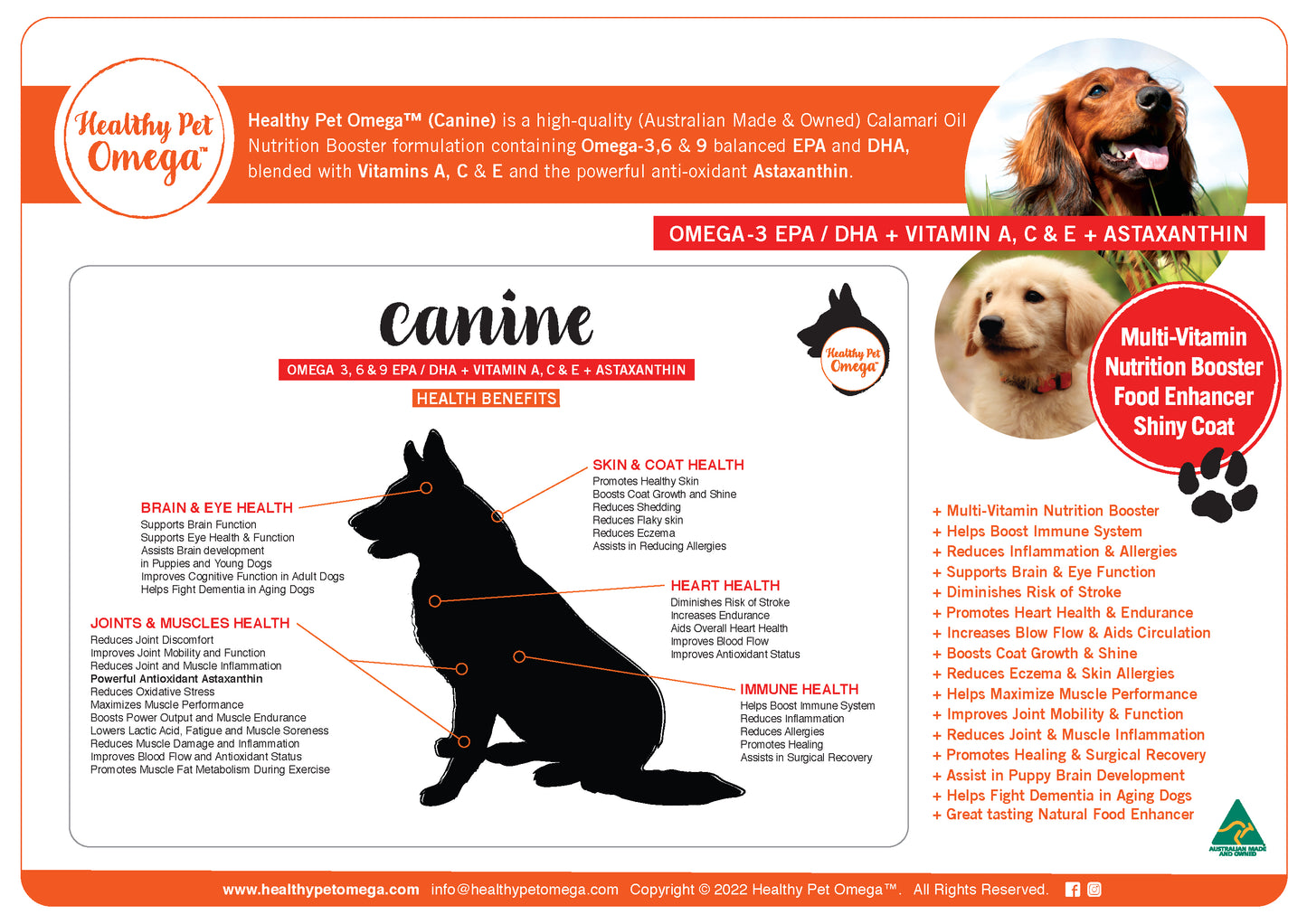 Healthy Pet Omega (Canine 250ml)